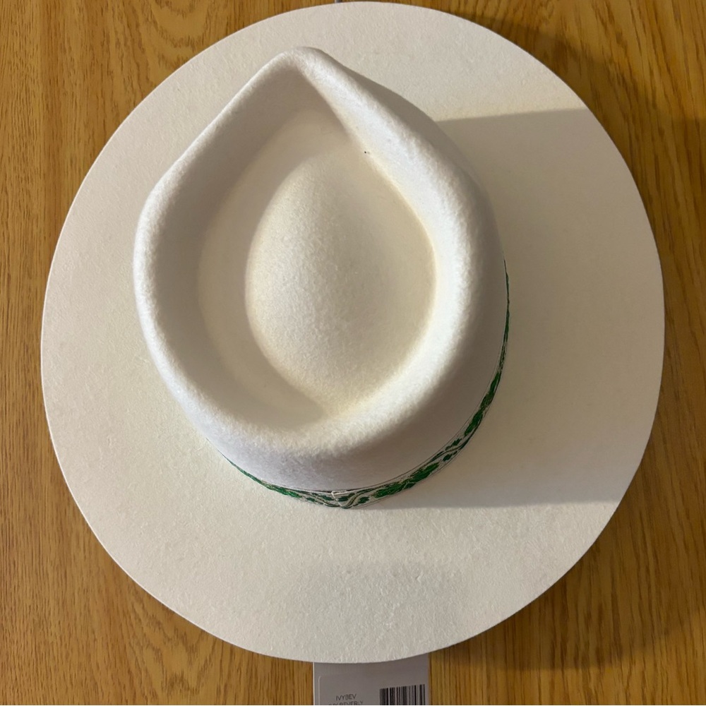 NWT Free People Lack of Color Beverly Rancher hat